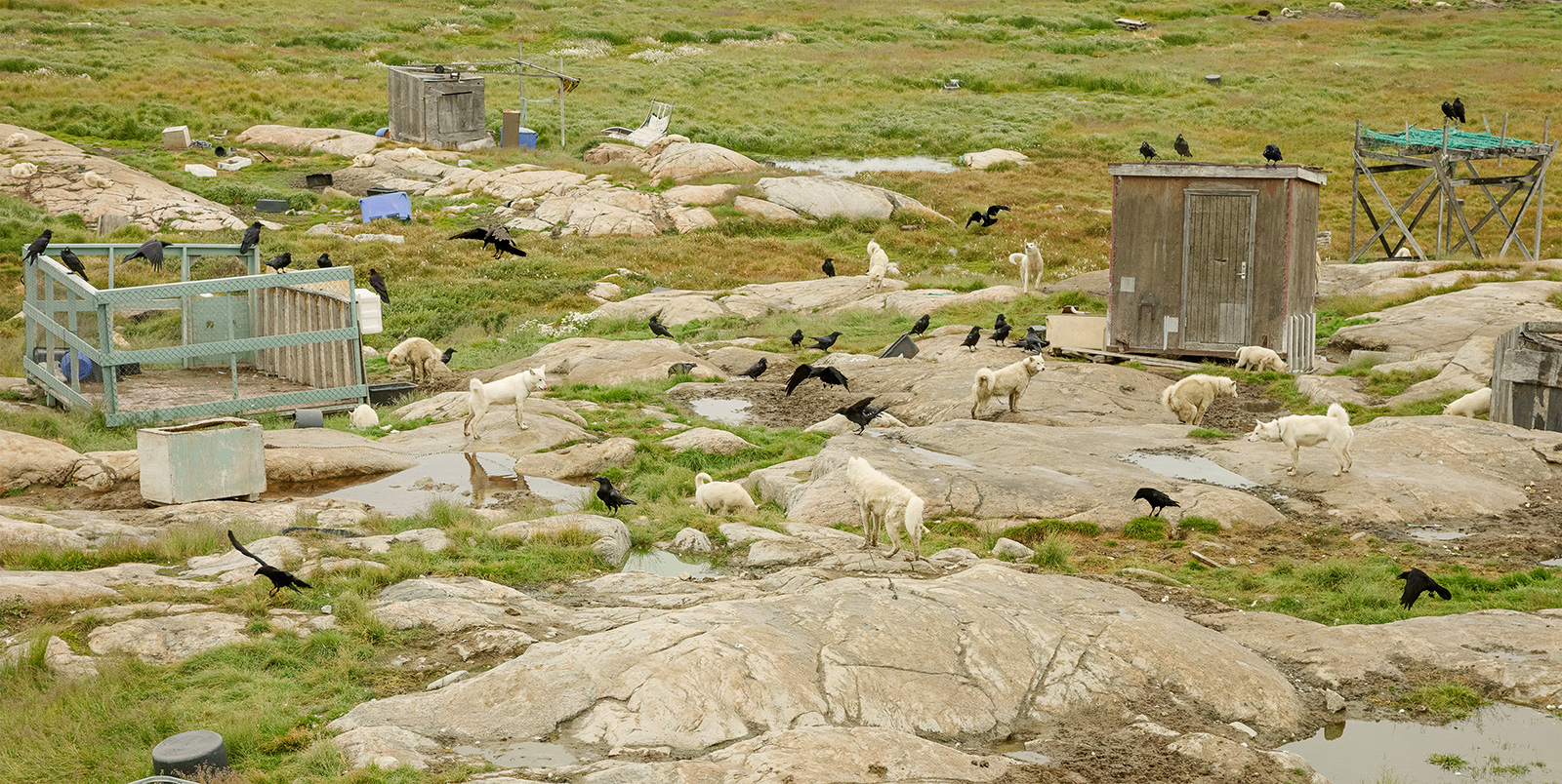 Distant Early Warning Line - Gallery 263