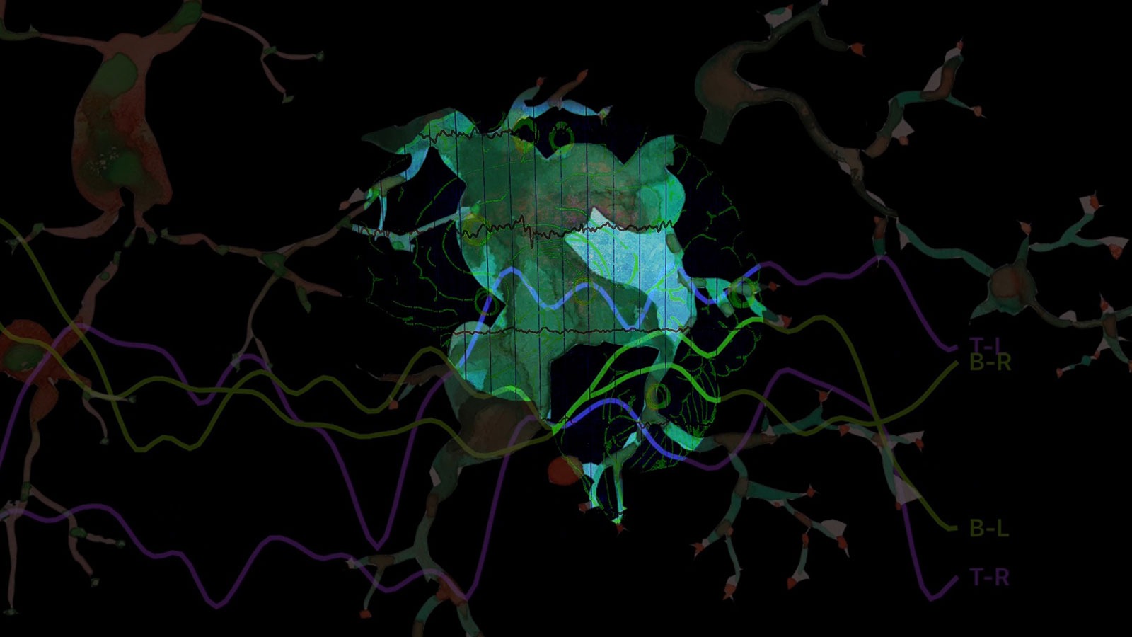 Collective Consciousness