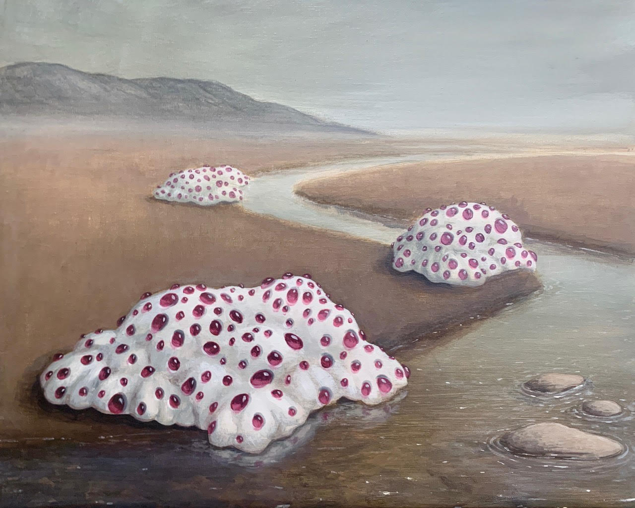 Cambridge Community Exhibition