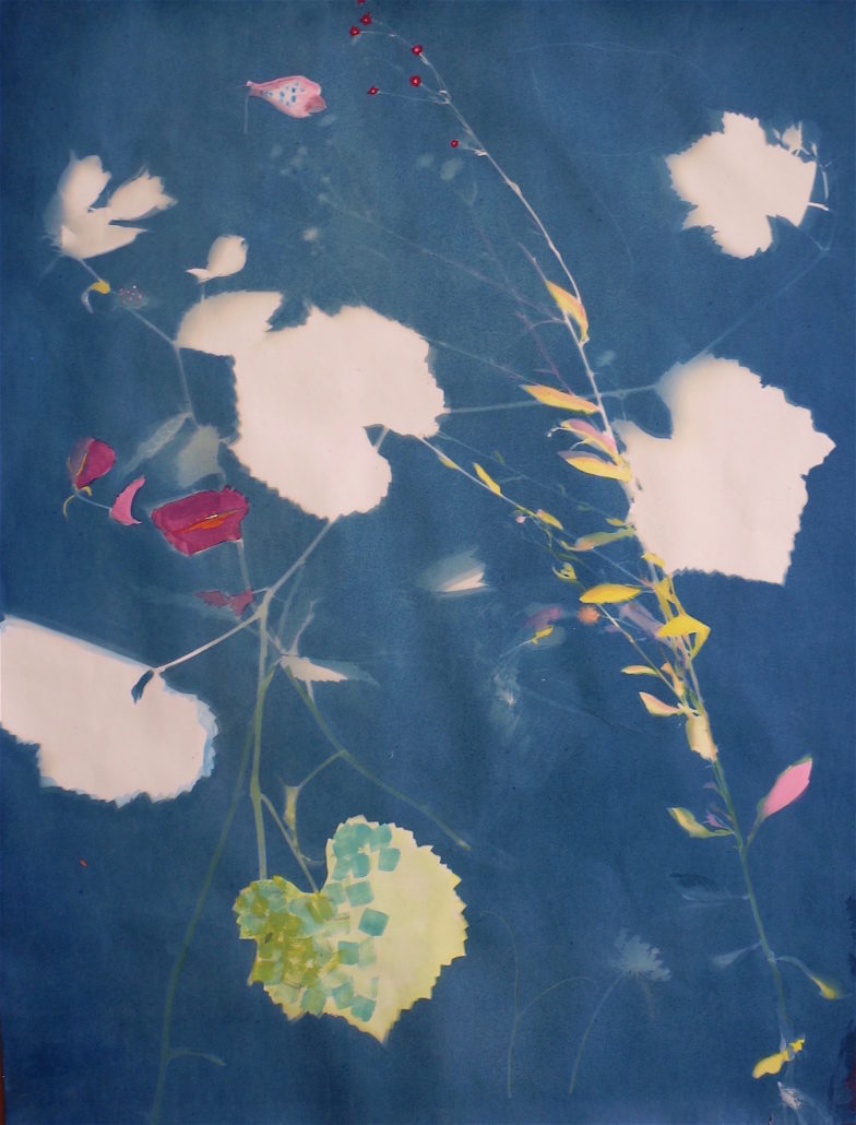 6th Annual Members’ Exhibition