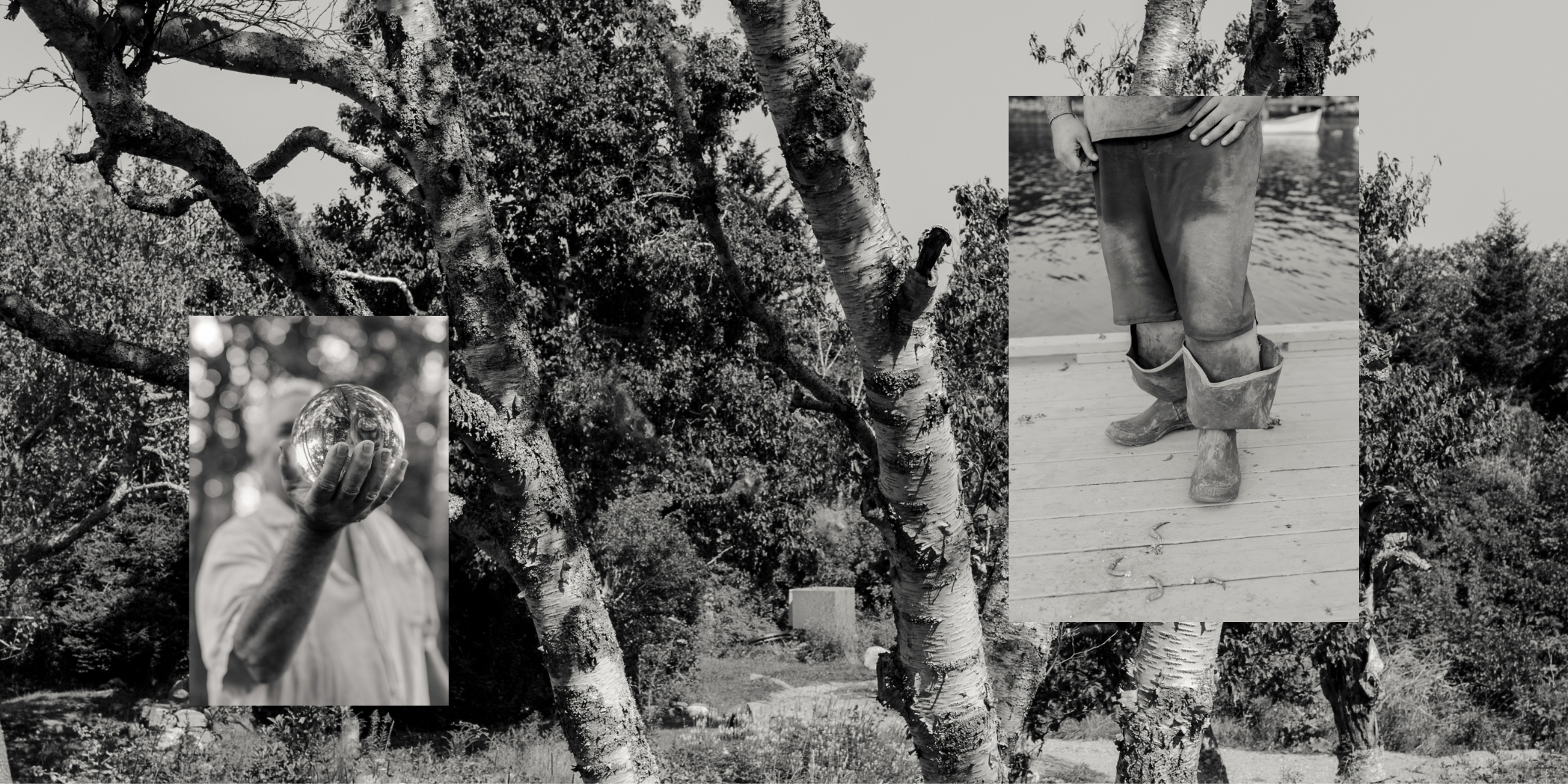 Ripples in Still Water